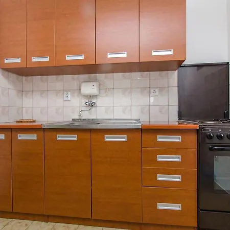 Apartment Vojka Basina