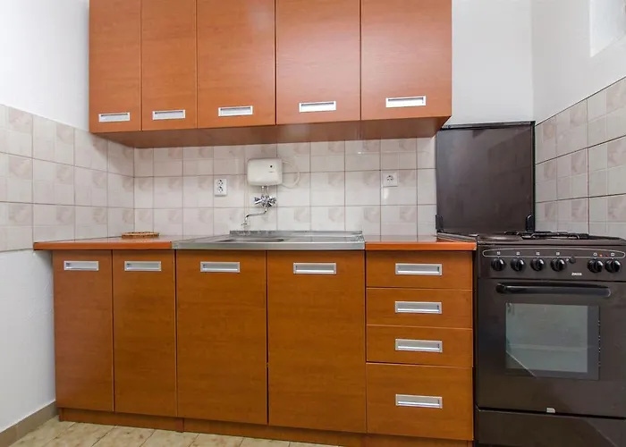 Apartment Vojka Basina